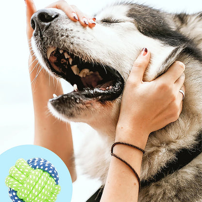 Pet Chew Toy for Dogs