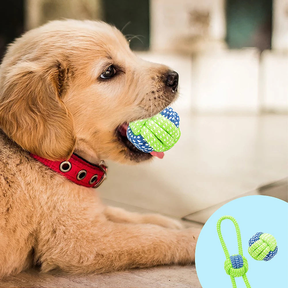 Pet Chew Toy for Dogs