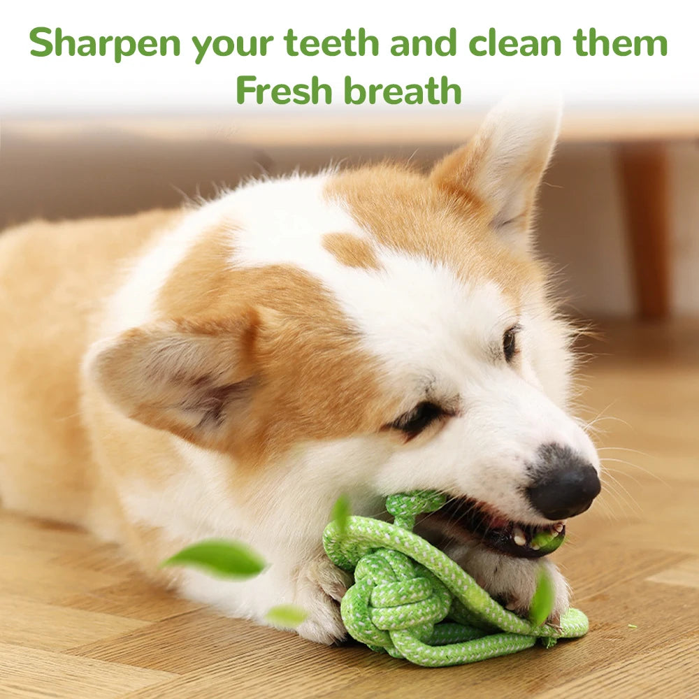 Pet Chew Toy for Dogs