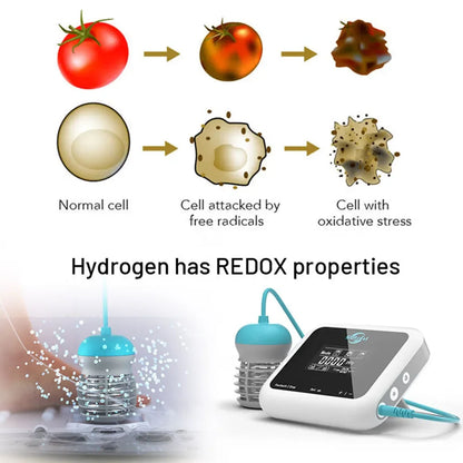 Ionic Detox Foot Spa Cleanse Machine